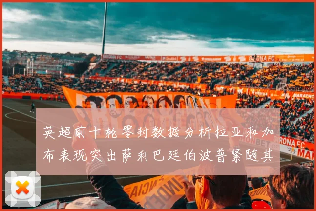 英超前十轮零封数据分析拉亚和加布表现突出萨利巴廷伯波普紧随其后