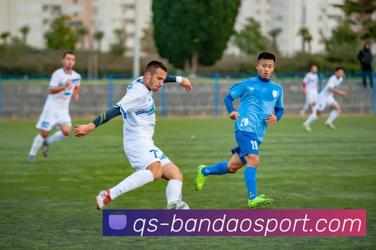 半岛足球体育服务体系